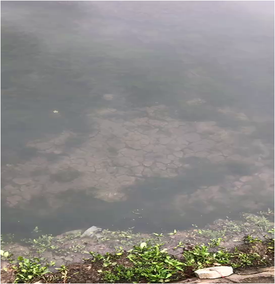 黑臭湖库-六盘水卡达凯斯人工湖治理项目