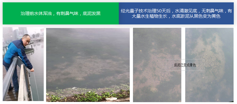 微信截图_20201231115005.png