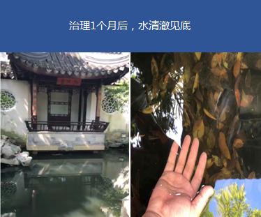 园林黑臭水体-苏州畅园项目