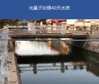 蓝藻治理-苏州震泽某河道治理项目